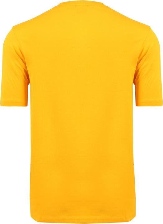 Actual product image Switcher Whale Event (XS)