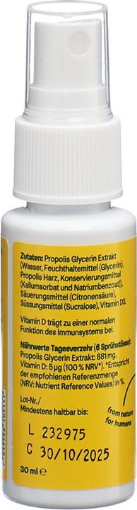 Actual product image Heybee Propolis Immune Spray (1 Piece, Spray, 52 g)