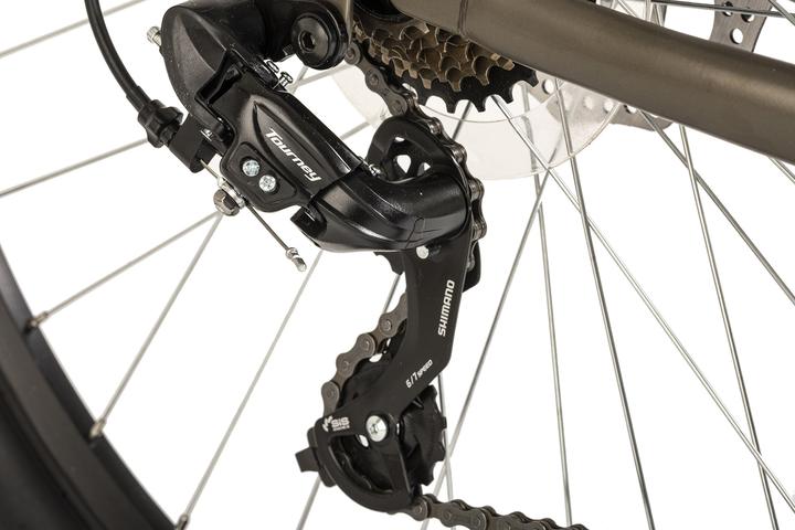 Produktbild Wyld Mountainbike Hardtail 29" Sharp Scheibenbremse platin-grau 21 Gänge (46 cm)