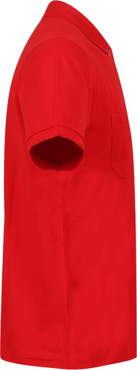 Actual product image Switcher Whale (4XL)