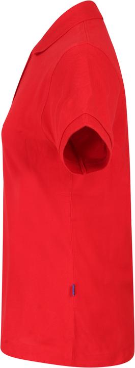 Actual product image Switcher Whale (XL)