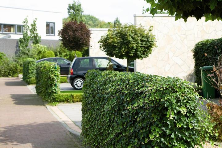 Image du produit Mobilane Haie (180 cm)