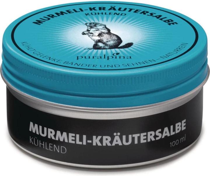Puralpina Murmeli-Kräutersalbe (1 x, 100 ml, 100 g)