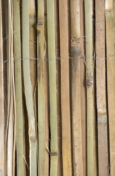 Immagine prodotto Windhager Mitake (300 cm)