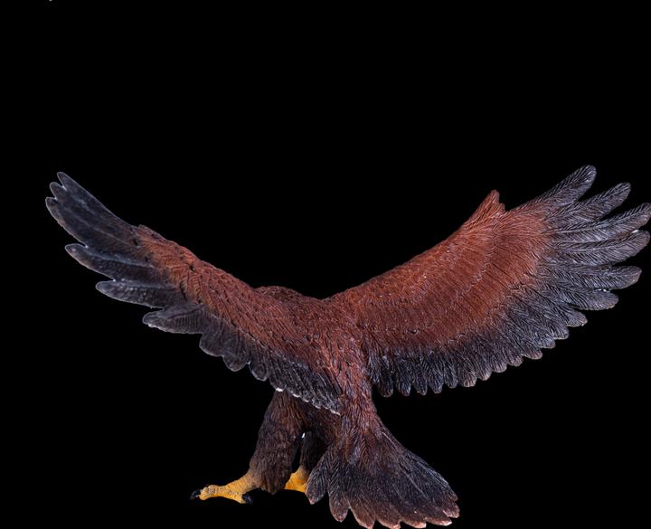 Image du produit Mojo Faune Aigle royal