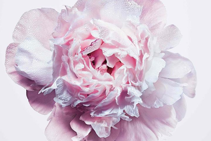Immagine prodotto Dior Miss Blooming Bouquet (Eau de toilette, 100 ml)