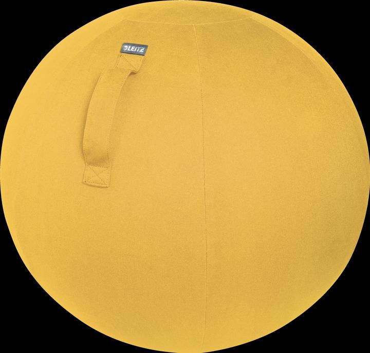 Produktbild Leitz Ergo Cosy Active Sitzball (65 cm)