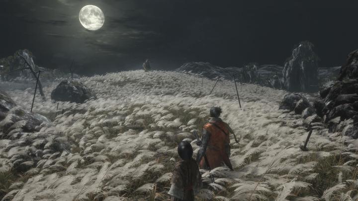 Image du produit Activision Sekiro : Les ombres meurent deux fois (Xbox One X, Xbox Series X, DE)