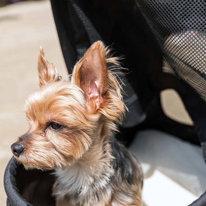 Produktbild Fudajo 2in1 Haustierwagen (Hund, Faltbar, Atmungsaktiv)