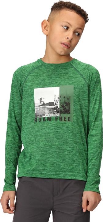 Actual product image Regatta Childrens/Kids Burnlee Roam Free Graphic Print Marl T-Shirt (128)