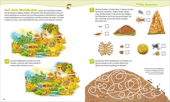 Actual product image Tessloff WAS IST WAS Junior Mitmach-Heft. Insekten (German, Tatiana Marti, 2020)