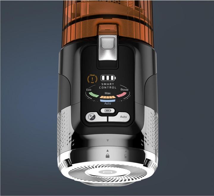 Actual product image Rowenta XForce Flex 13.60 Anniversary