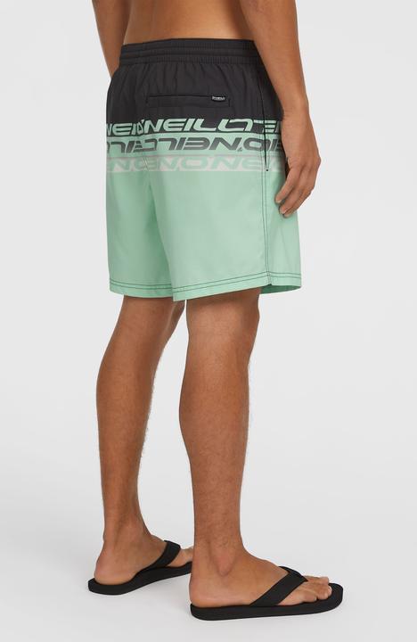 Actual product image O'Neill Cali Stripe 16" Swimshorts (M)