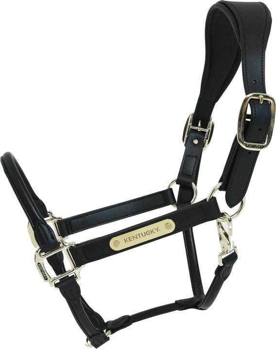 Kentucky Horsewear Anatomisches Lederhalfter