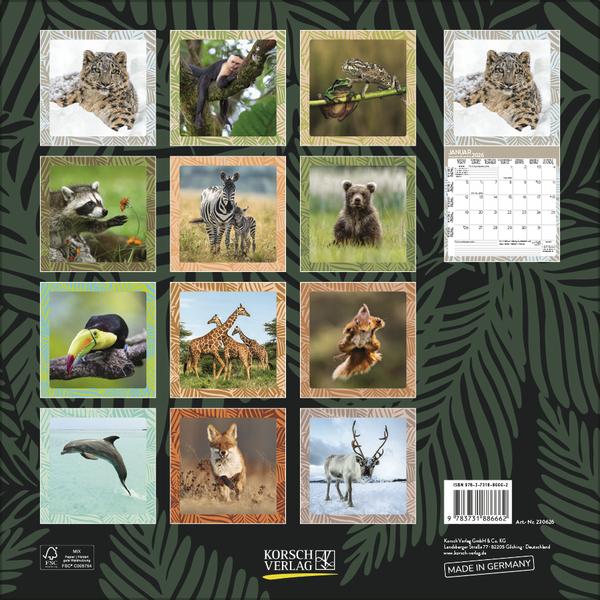 Produktbild Achtung wild - Tiere aus aller Welt 2026 (30 x 30 cm, Harter Einband, Deutsch)