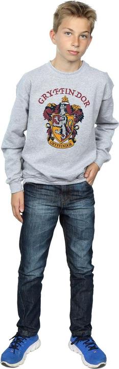 Immagine prodotto Felpa Gryffindor Ragazzi (116)