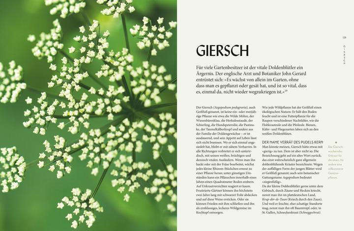 Produktbild Die "Unkräuter" in meinem Garten (Deutsch, Wolf-Dieter Storl, 2018)