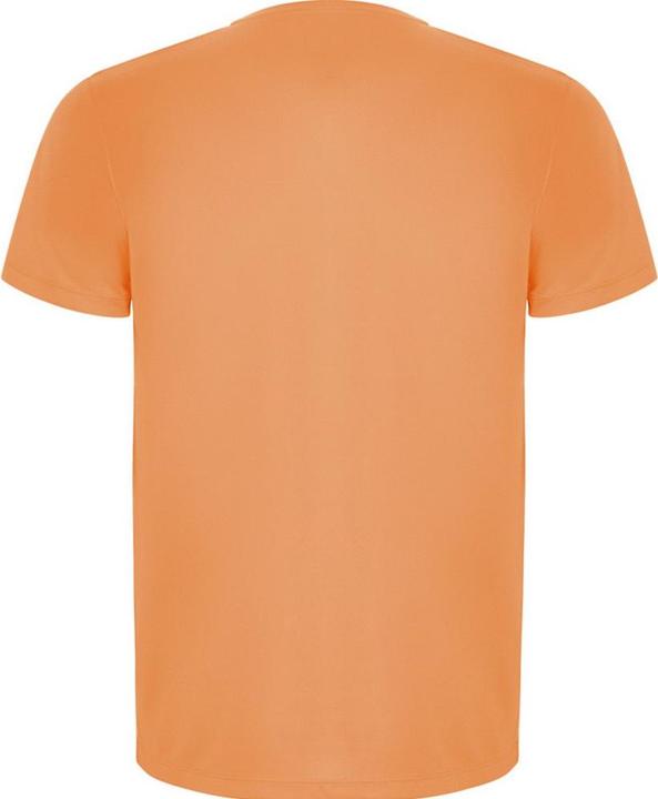 Immagine prodotto Alpinia Imola Maglietta Sportiva Maniche Corte Uomo (XL)