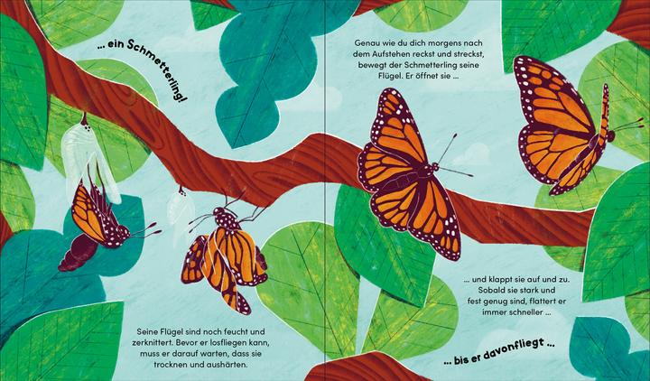 Produktbild Aus klein wird gross. So wächst ein Schmetterling (Deutsch, Bianca Austria, Sara Forster, 2025)