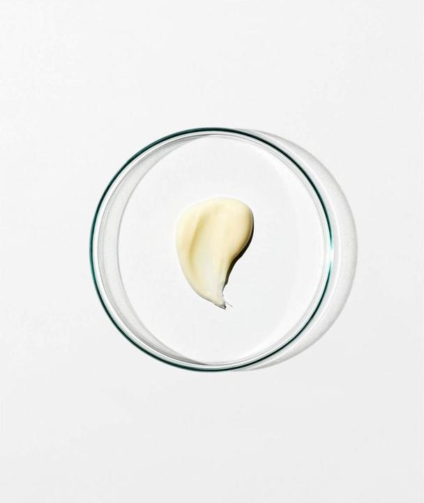 Actual product image Grown Alchemist Regenerating Night Cream: Neuro-Peptide & Violet Leaf Extract (40 ml, Night cream)
