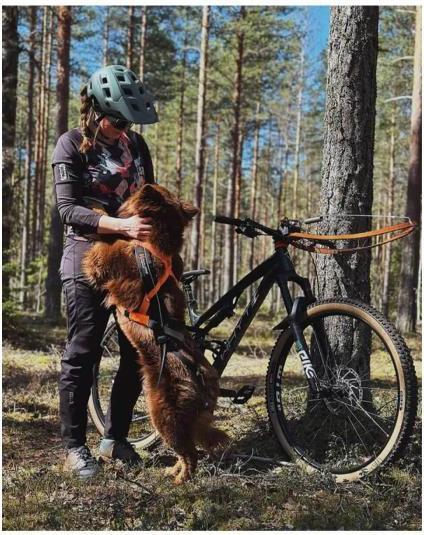 Productafbeelding Non-Stop Dogwear Freemotion Harnas 5.0 (XXL, Hond, Algemeen)