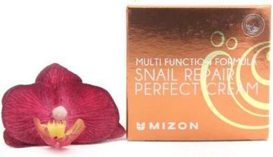 Mizon Snail Repair Perfect Cream regenerujący krem ze śluzem ślimaka 50ml (50 ml)