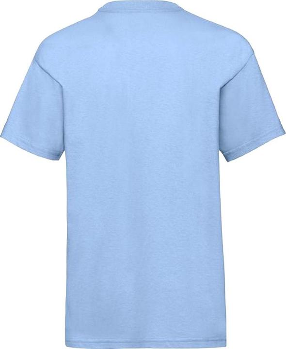 Actual product image Fruit of the Loom UTBC4269 P (98)