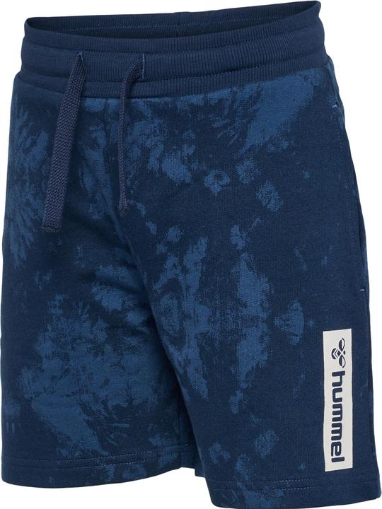 Image du produit hummel Hmljump Aop Shorts (146)