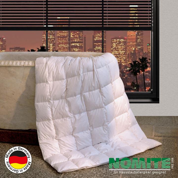 Actual product image BettwarenShop Canada (300 g, 155 x 200 cm)