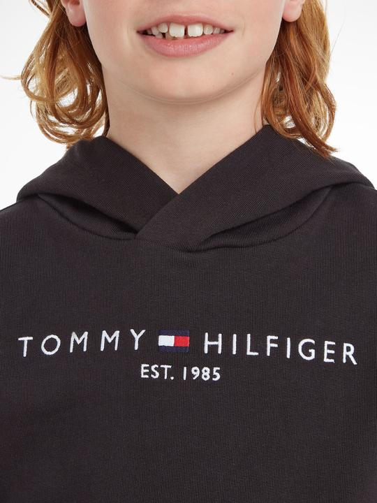 Image du produit Tommy Hilfiger Hoodie Essentiel (92)