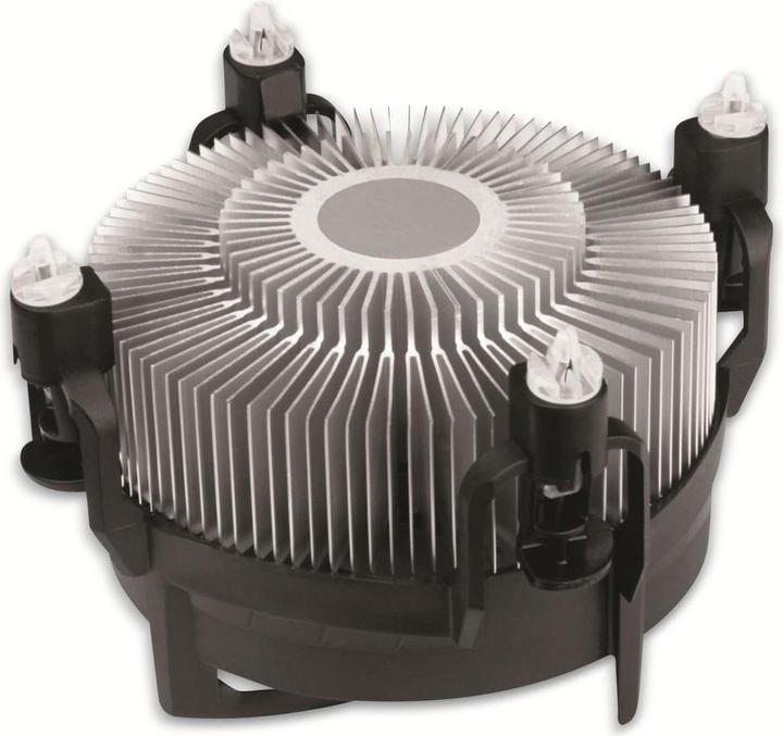 Actual product image Arctic Alpine 17 (77 mm)