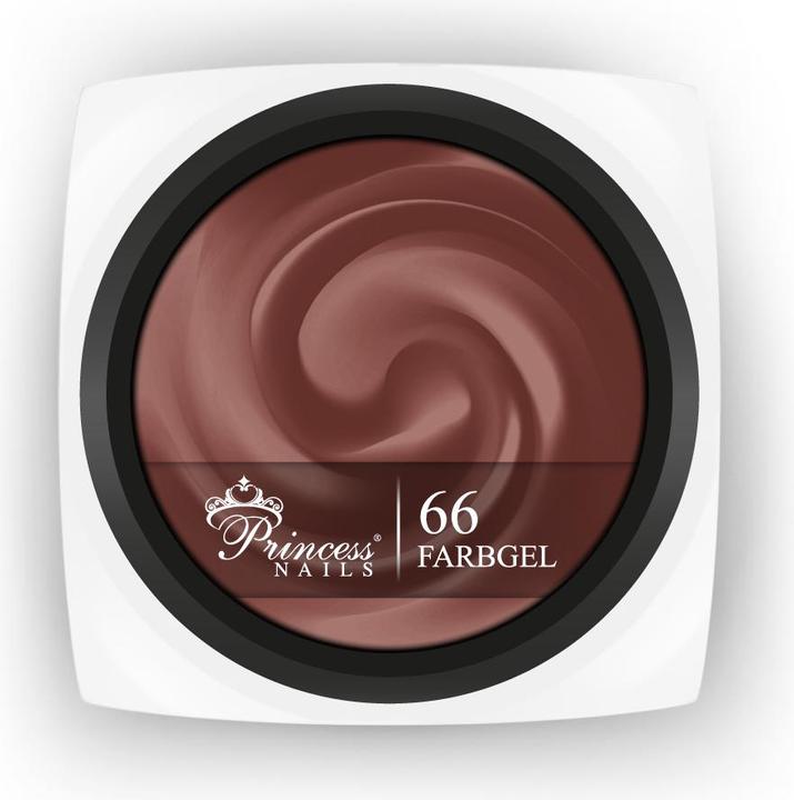 PrincessNails Farbgel 66