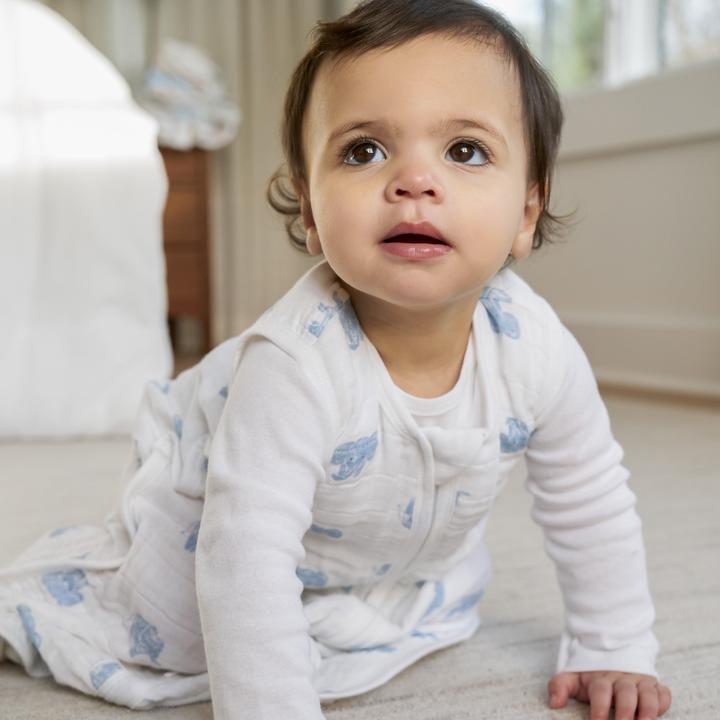 Produktbild aden + anais Leichter Schlafsack (90 cm, Sommer, Frühling)