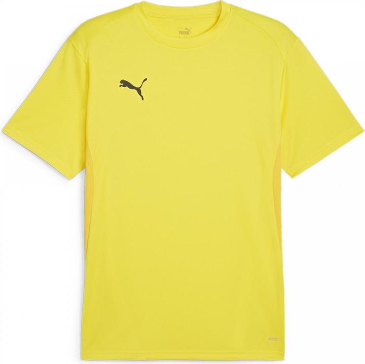 Actual product image Puma teamGOAL Jersey (3XL)