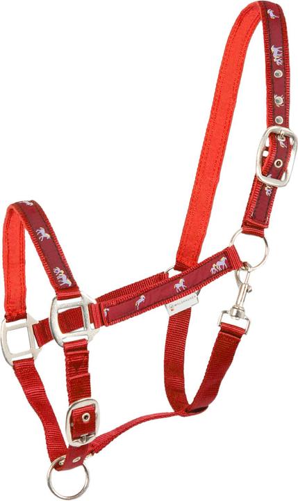 Waldhausen Halfter Pferdchen