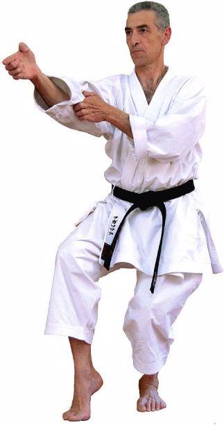 Immagine prodotto Kaiten Karategi Sovereign Superior (L, XL)
