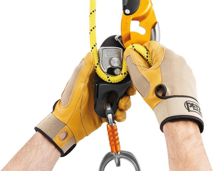 Image du produit Petzl Descender Rig