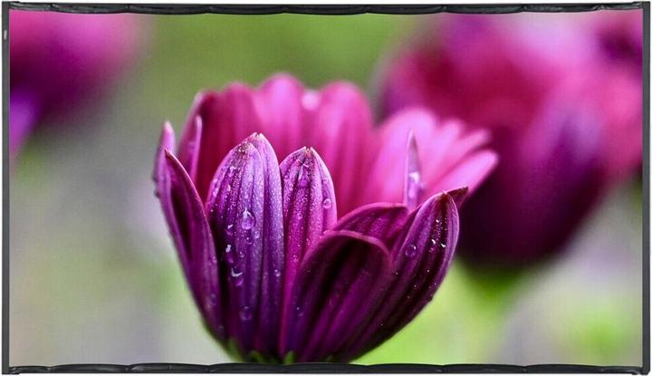 Produktbild Celexon basic line Faltrahmenleinwand 16:9, 80" - Rahmen-Leinwand, Heimkino- und Outdoor-Leinwand, F (80", 16:9)