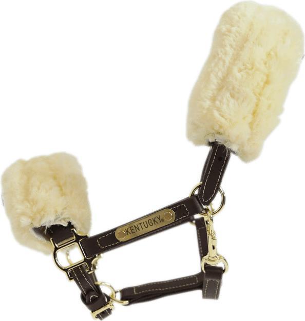 Kentucky Horsewear Pony Lederhalfter