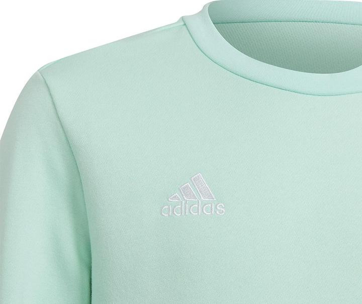 Immagine prodotto adidas Entrada 22 felpa bambini (128)
