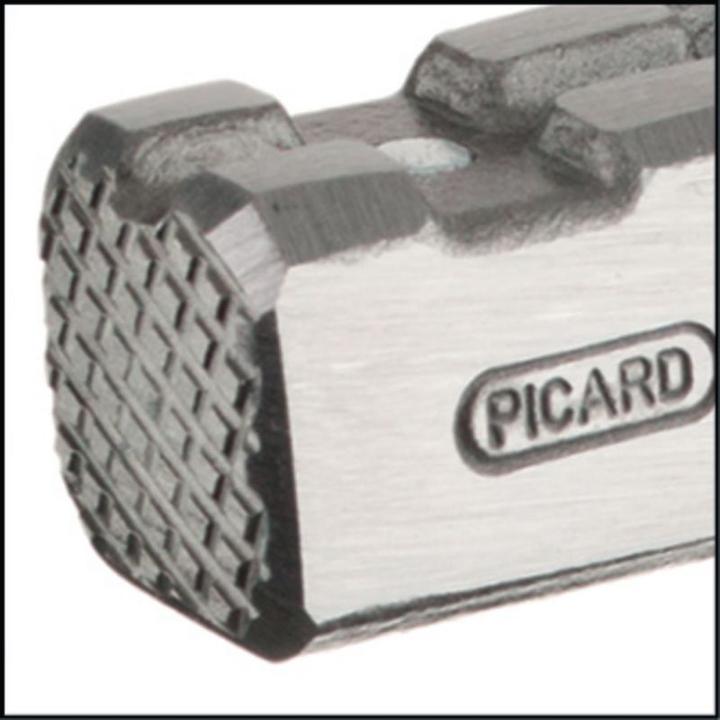 Produktbild Picard Latthammer (800 g)