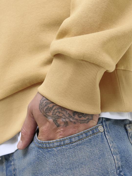 Actual product image Jack & Jones JJELOGO SWEAT HOOD 2 COL 25/26 NOOS (S)