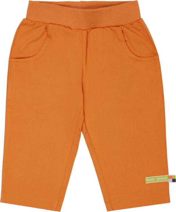 loud + proud Hose Twill (86)