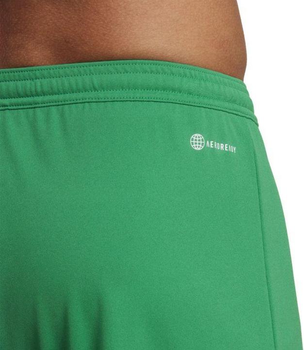 Actual product image adidas Entrada 22 Shorts (XXL)