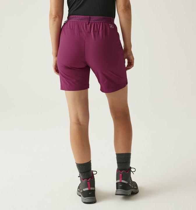 Actual product image Regatta Mountain Shorts II (S)
