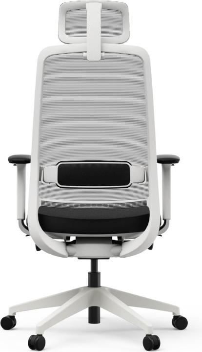 Image du produit Yaasa Chair Expert - blanc