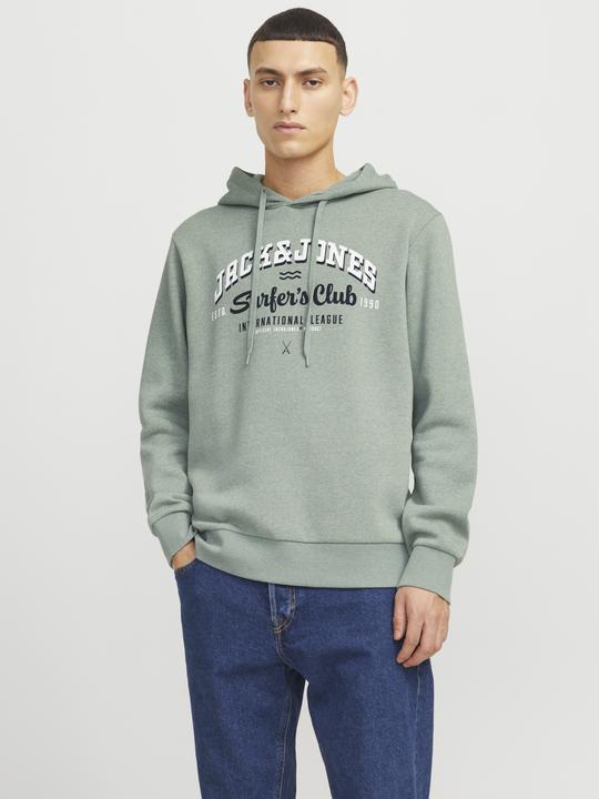 Immagine prodotto Jack & Jones JJELOGO SWEAT HOOD 2 COL 24/25 NOOS (XS)