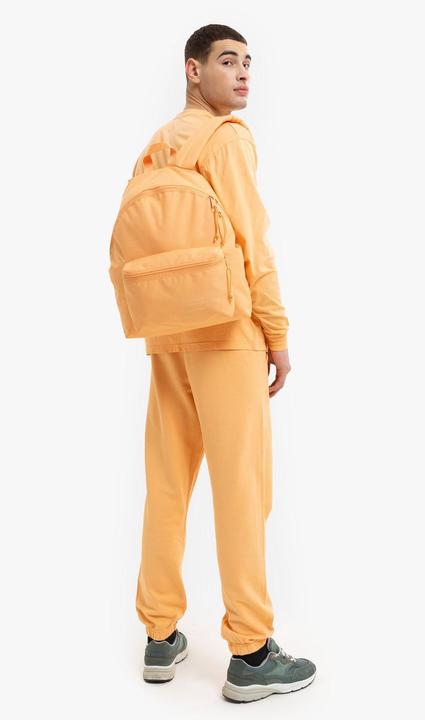 Actual product image Eastpak Day Pak'r (24 l)