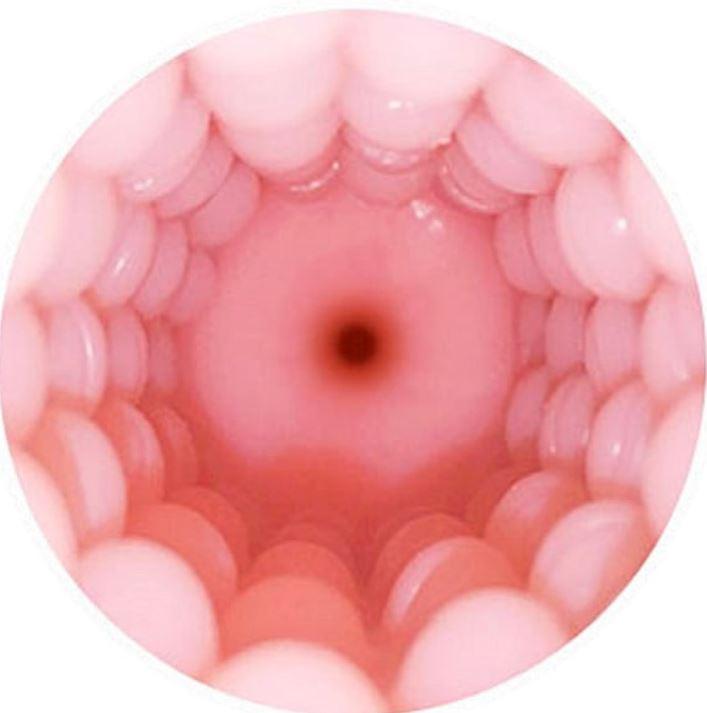 Immagine prodotto Lovense Vagina Sleeve