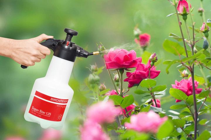 Produktbild Birchmeier Super Star (1.25 l)